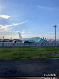 ANA A380 Tb