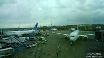 Copa Airlines 737
