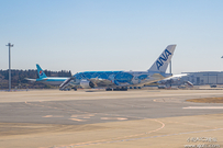 һ ANA A380